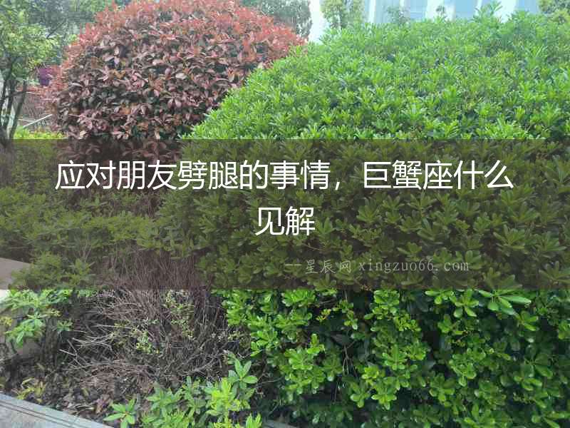 應對朋友劈腿的事情，巨蟹座什么見解