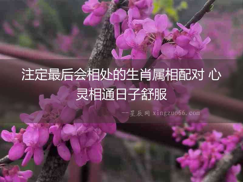 注定最后會相處的生肖屬相配對 心靈相通日子舒服