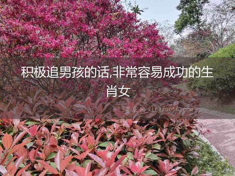 積極追男孩的話,非常容易成功的生肖女