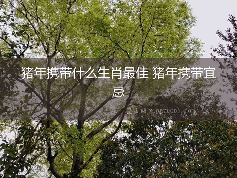 豬年攜帶什么生肖最佳 豬年攜帶宜忌