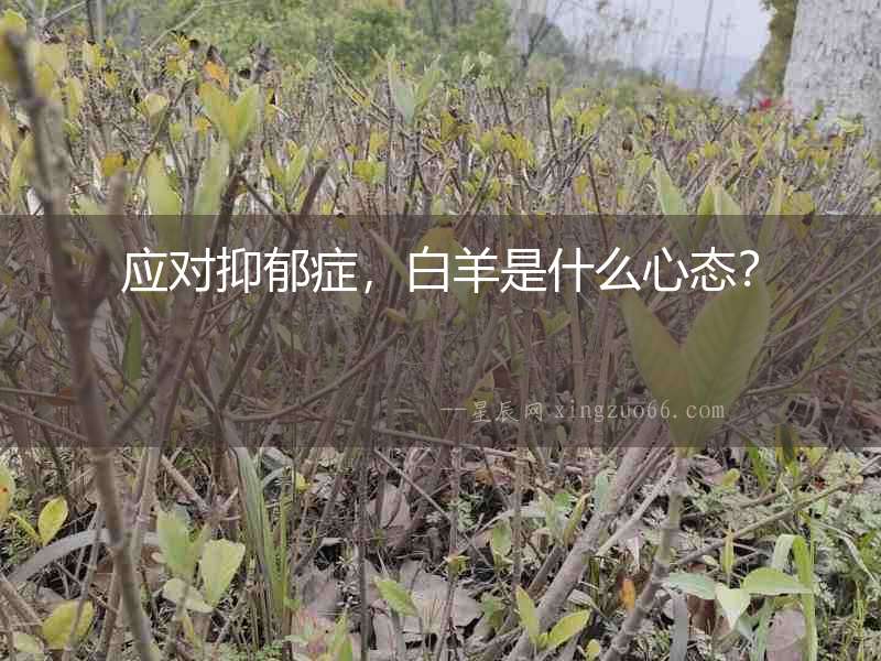 應對抑郁癥，白羊是什么心態？