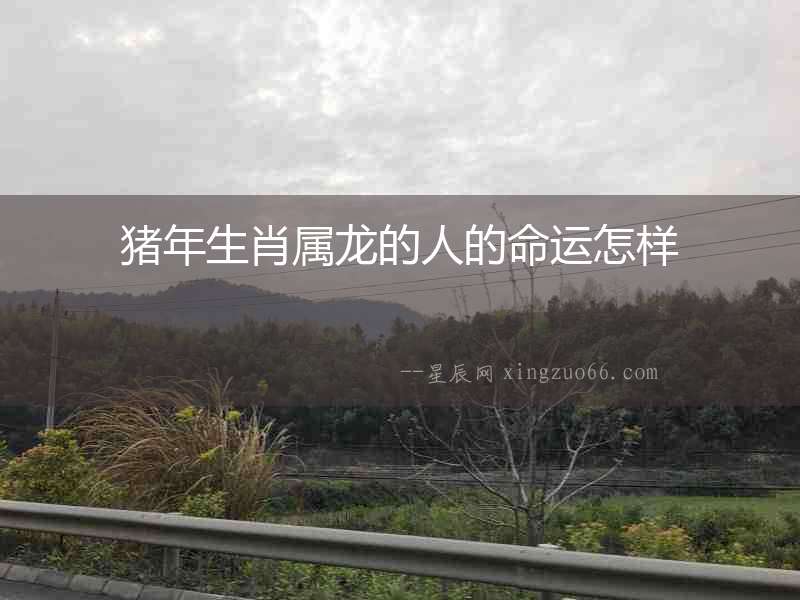 豬年生肖屬龍的人的命運怎樣