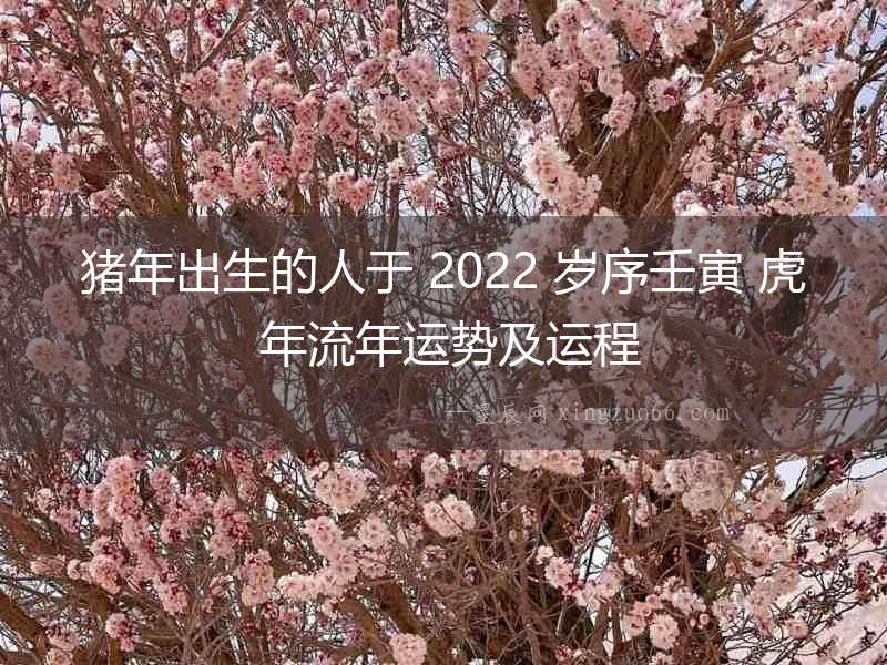 豬年出生的人于 2022 歲序壬寅 虎 年流年運勢及運程