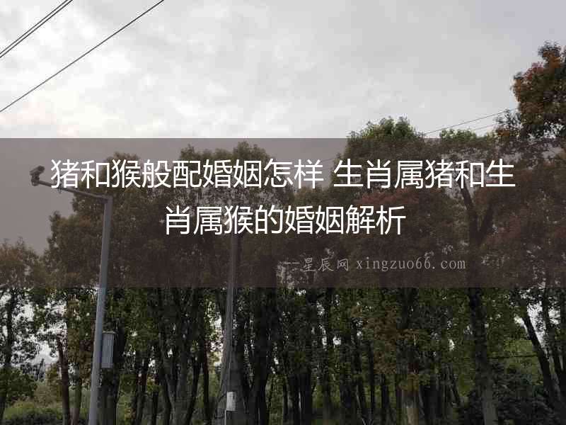 豬和猴般配婚姻怎樣 生肖屬豬和生肖屬猴的婚姻解析