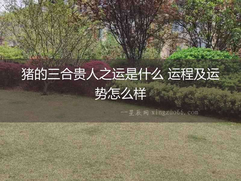 豬的三合貴人之運是什么 運程及運勢怎么樣