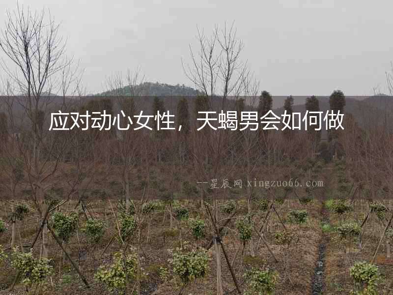 應對動心女性，天蝎男會如何做
