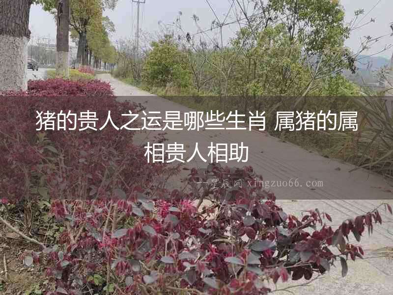 豬的貴人之運是哪些生肖 屬豬的屬相貴人相助