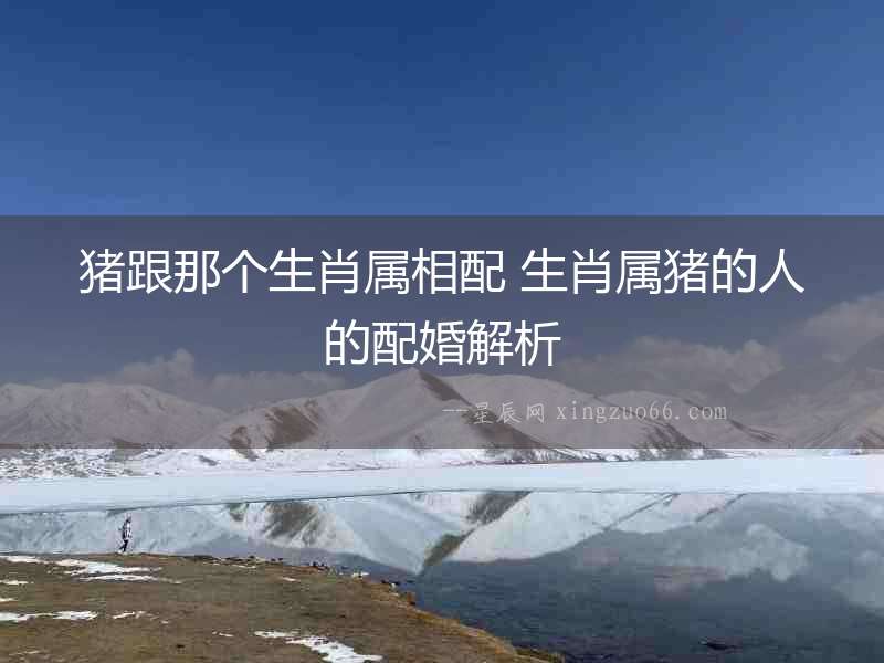 豬跟那個生肖屬相配 生肖屬豬的人的配婚解析