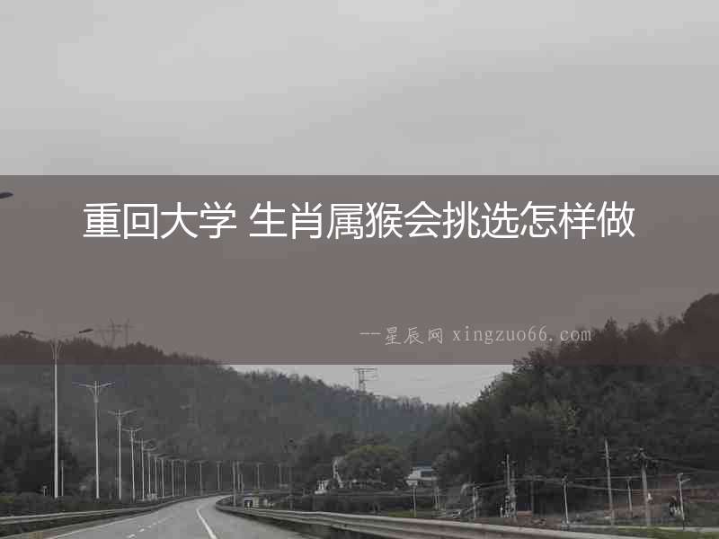 重回大學 生肖屬猴會挑選怎樣做