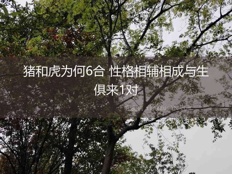 豬和虎為何6合 性格相輔相成與生俱來1對