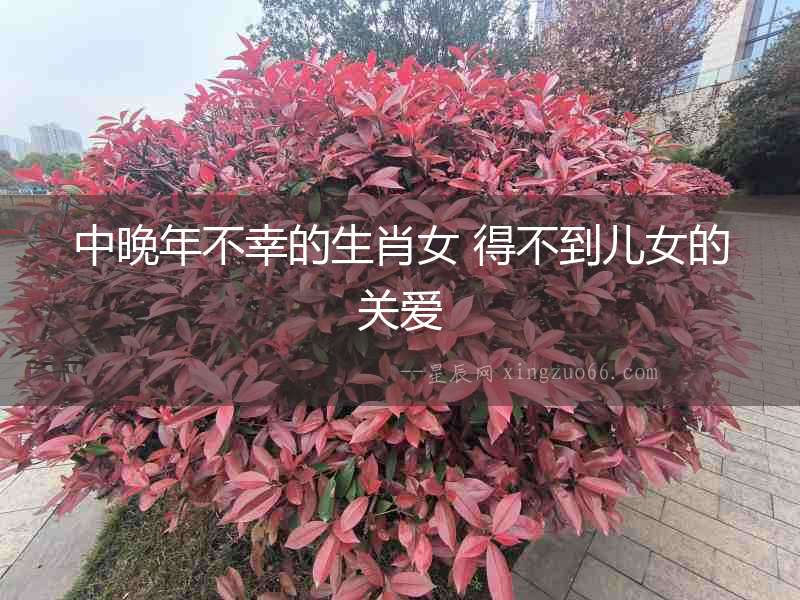 中晚年不幸的生肖女 得不到兒女的關愛