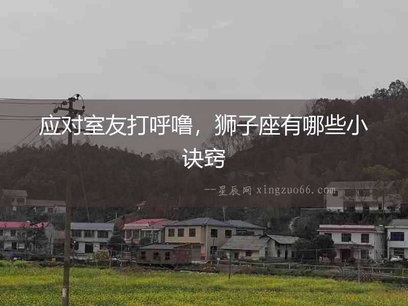 應對室友打呼嚕，獅子座有哪些小訣竅