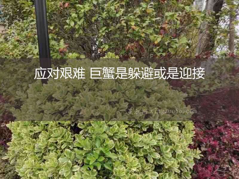 應(yīng)對(duì)艱難 巨蟹是躲避或是迎接