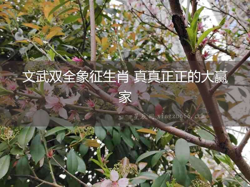 文武雙全象征生肖 真真正正的大贏家