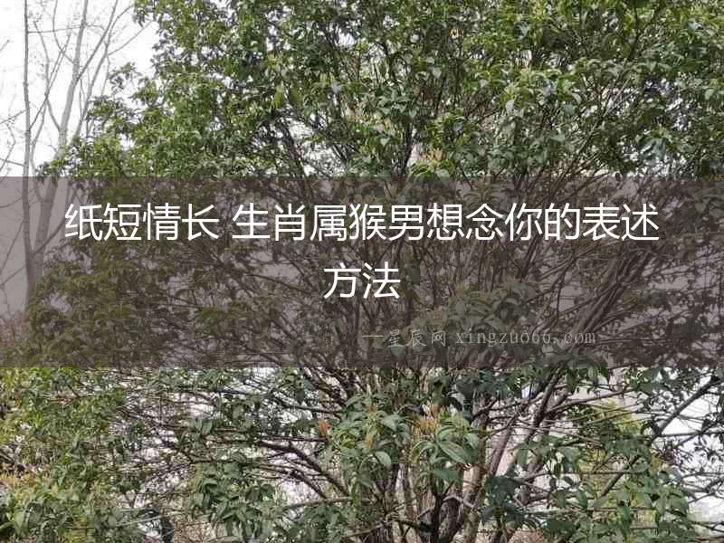 紙短情長 生肖屬猴男想念你的表述方法