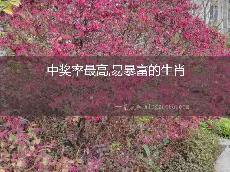 中獎率最高,易暴富的生肖