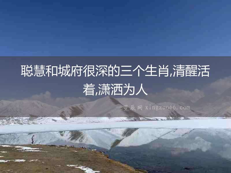 聰慧和城府很深的三個生肖,清醒活著,瀟灑為人