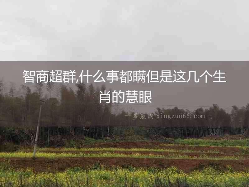 智商超群,什么事都瞞但是這幾個(gè)生肖的慧眼