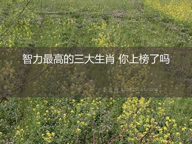 智力最高的三大生肖 你上榜了嗎