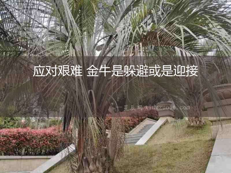 應對艱難 金牛是躲避或是迎接