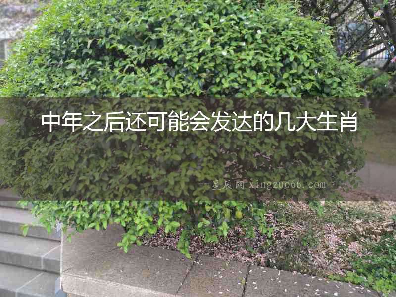 中年之后還可能會發達的幾大生肖