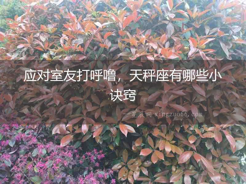應(yīng)對室友打呼嚕，天秤座有哪些小訣竅
