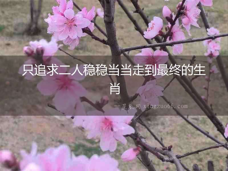 只追求二人穩穩當當走到最終的生肖