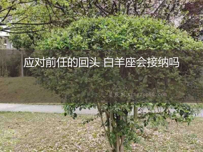 應對前任的回頭 白羊座會接納嗎