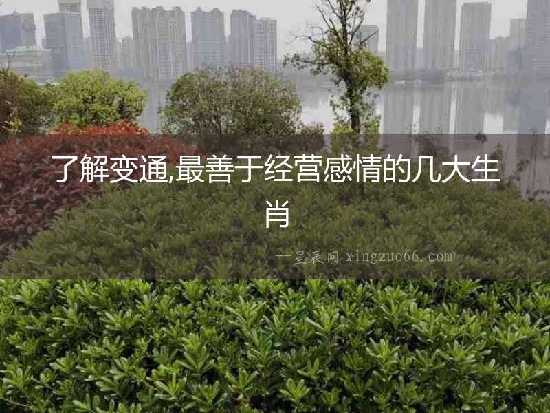 了解變通,最善于經(jīng)營感情的幾大生肖