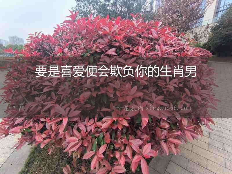 要是喜愛便會欺負你的生肖男