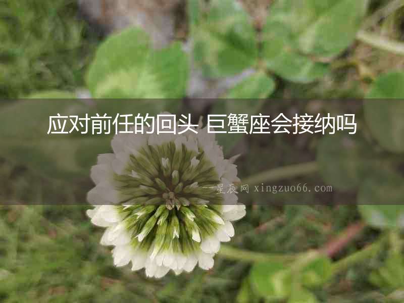 應對前任的回頭 巨蟹座會接納嗎