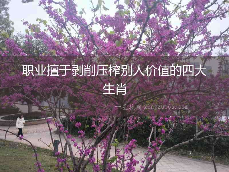 職業(yè)擅于剝削壓榨別人價(jià)值的四大生肖
