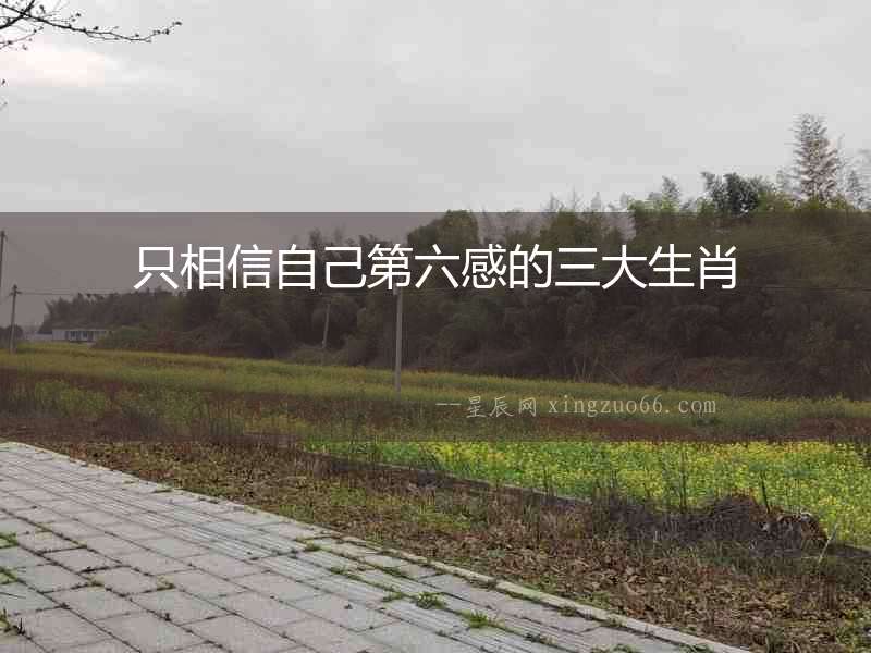 只相信自己第六感的三大生肖