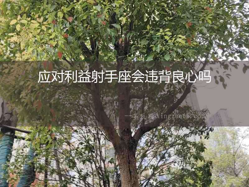應對利益射手座會違背良心嗎
