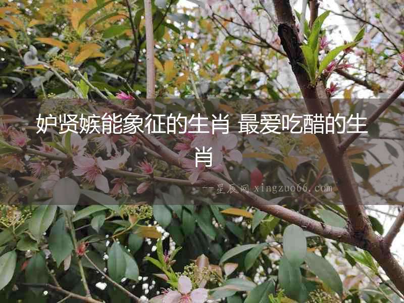 妒賢嫉能象征的生肖 最愛吃醋的生肖