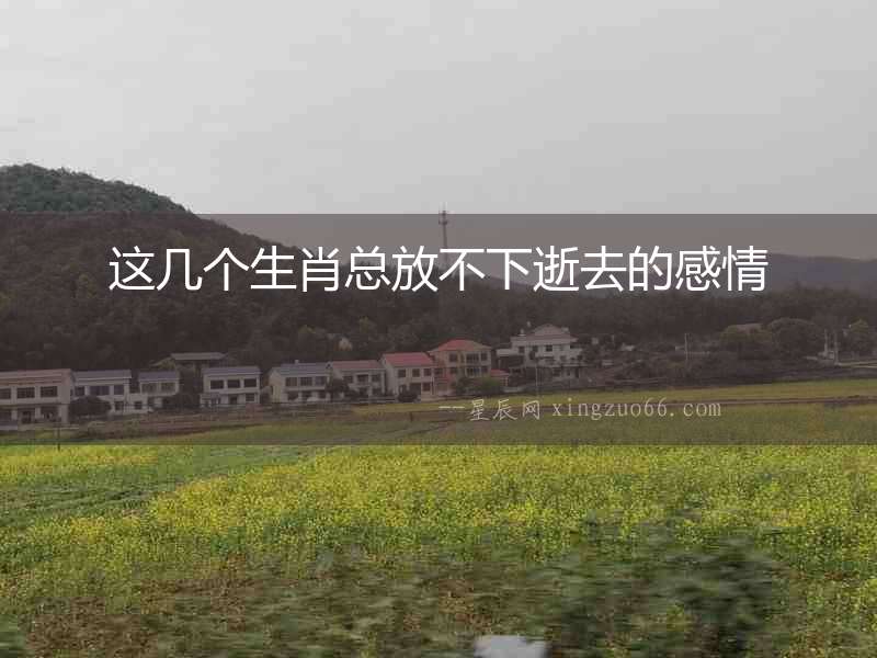 這幾個生肖總放不下逝去的感情