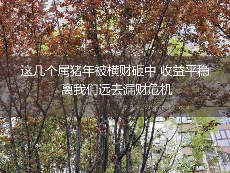 這幾個屬豬年被橫財砸中 收益平穩 離我們遠去漏財危機