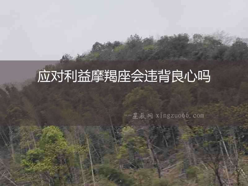應對利益摩羯座會違背良心嗎