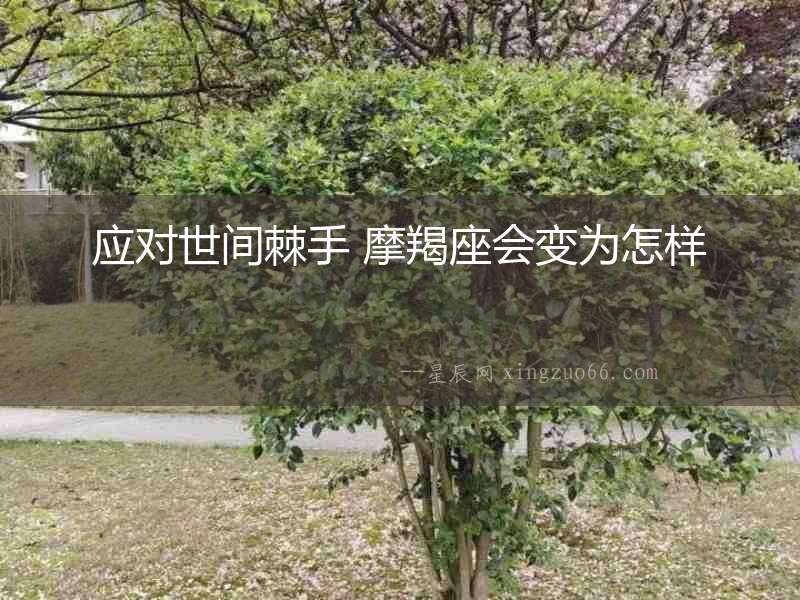 應對世間棘手 摩羯座會變為怎樣
