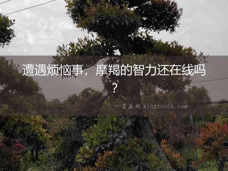 遭遇煩惱事，摩羯的智力還在線嗎？