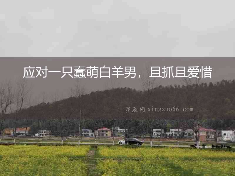 應對一只蠢萌白羊男，且抓且愛惜