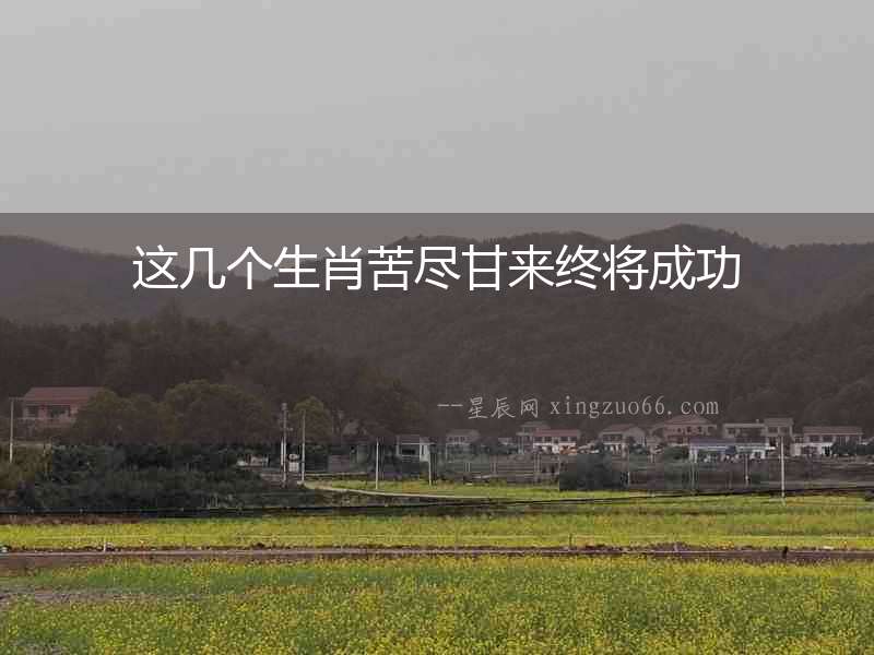 這幾個生肖苦盡甘來終將成功