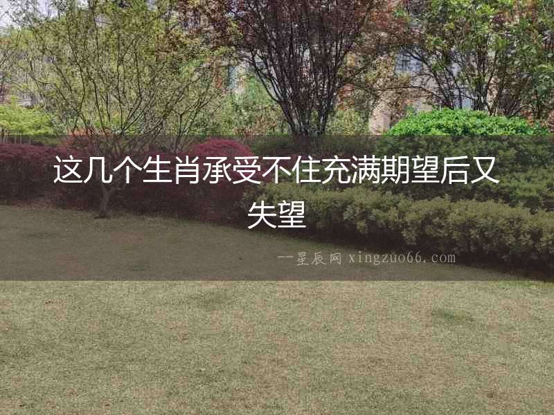這幾個生肖承受不住充滿期望后又失望