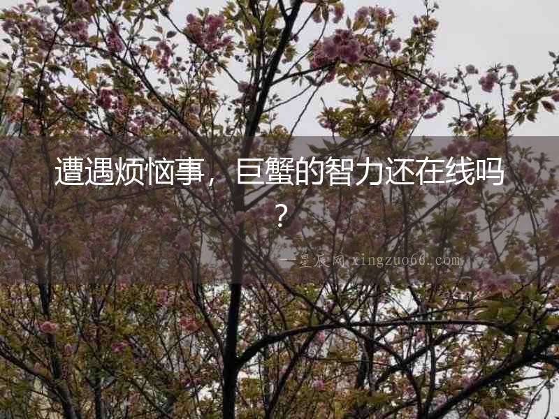 遭遇煩惱事，巨蟹的智力還在線嗎？