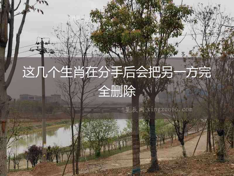 這幾個生肖在分手后會把另一方完全刪除