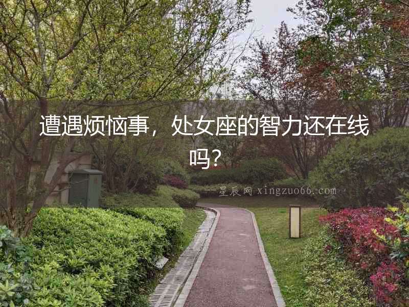 遭遇煩惱事，處女座的智力還在線嗎？