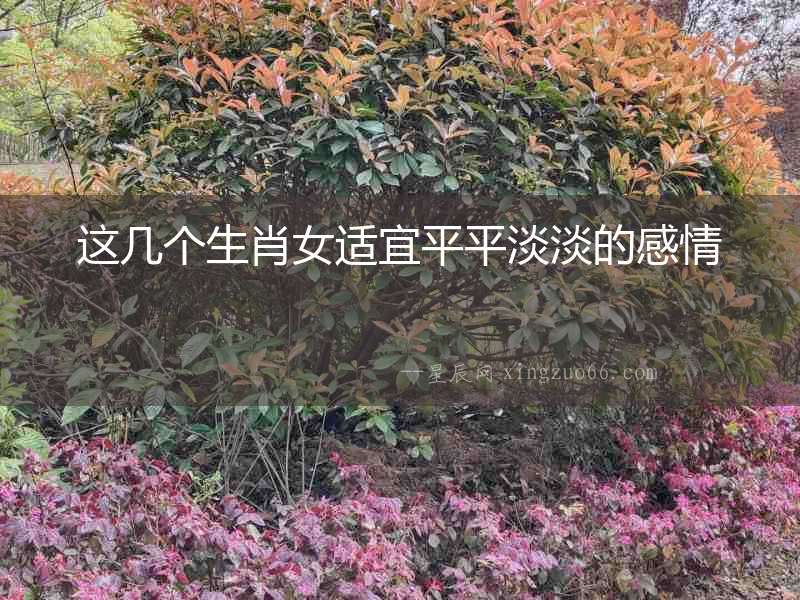這幾個生肖女適宜平平淡淡的感情