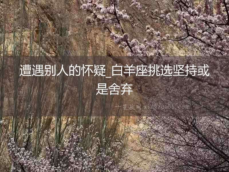 遭遇別人的懷疑_白羊座挑選堅持或是舍棄