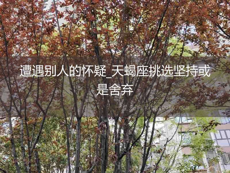 遭遇別人的懷疑_天蝎座挑選堅持或是舍棄