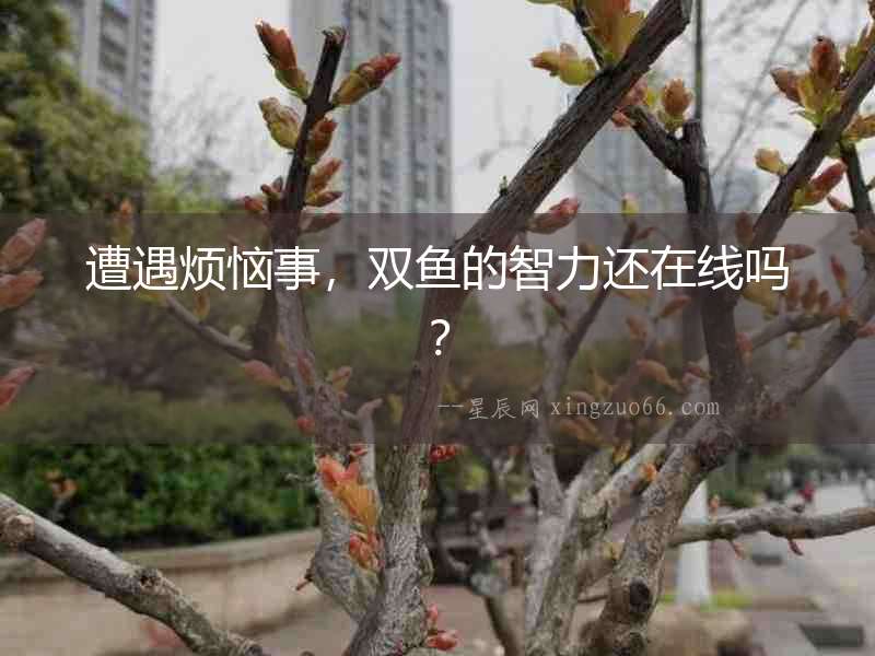 遭遇煩惱事，雙魚的智力還在線嗎？